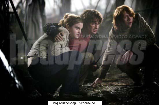 Cartile Harry Potter - Care vi se pare mai interesanta?Dar mai - ...::::Harry Potter::::...