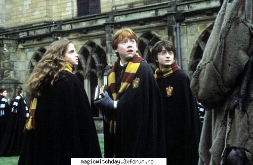Harry Potter - CAre va placut mai mult? 1,2,3,4...Ce credeti - ::Movie time!::