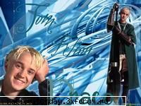 Tom Felton - will - ...::::Harry Potter::::...